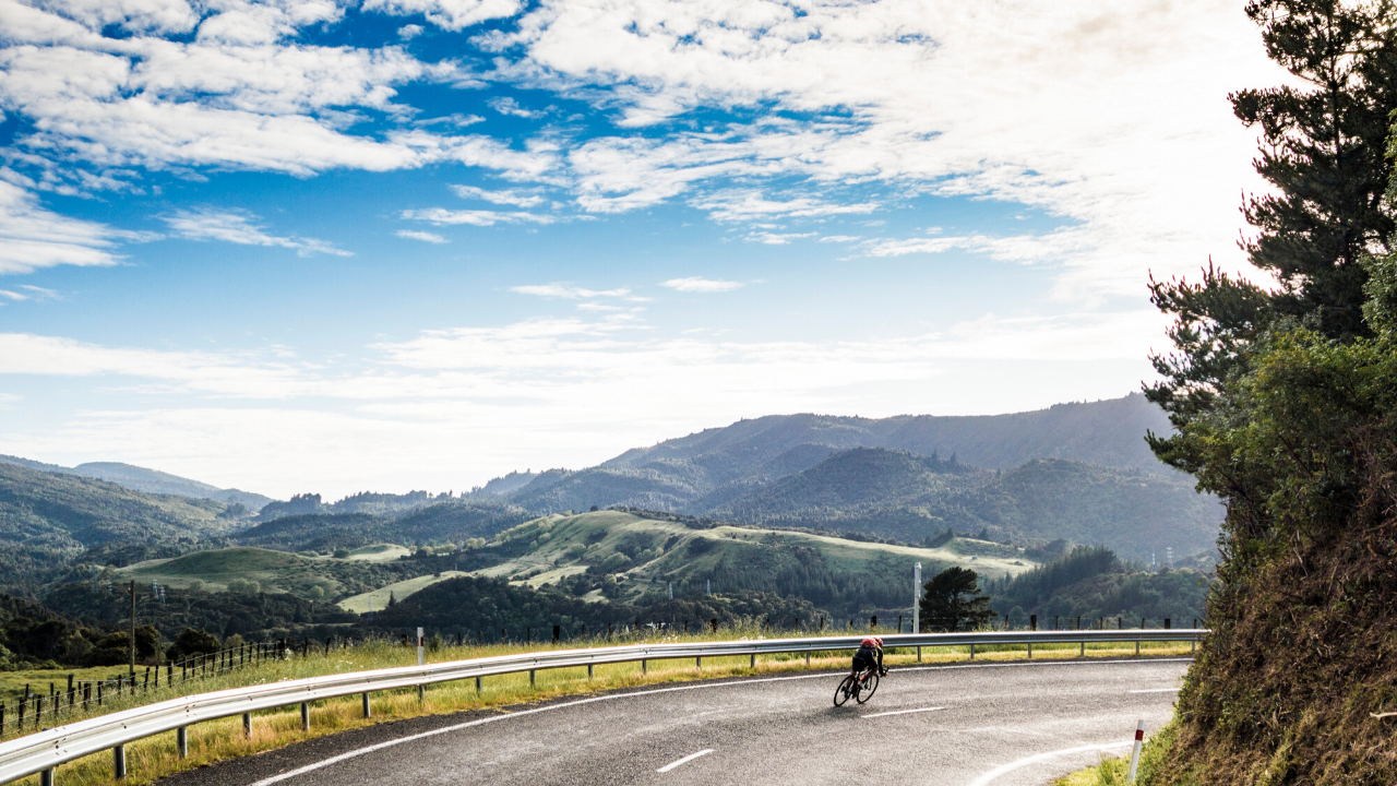 Road Bike Rentals in Auckland, New Zealand | Livelo