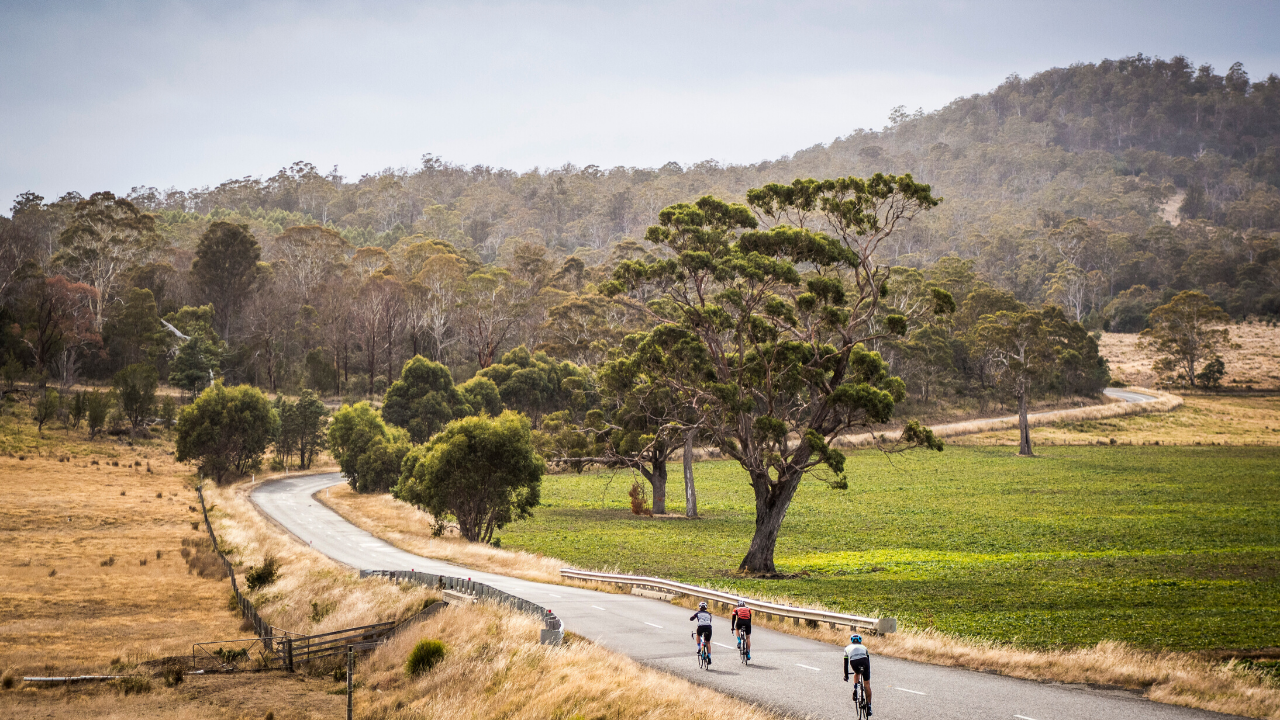 Road Bike Rentals in Hobart, Australia | Livelo