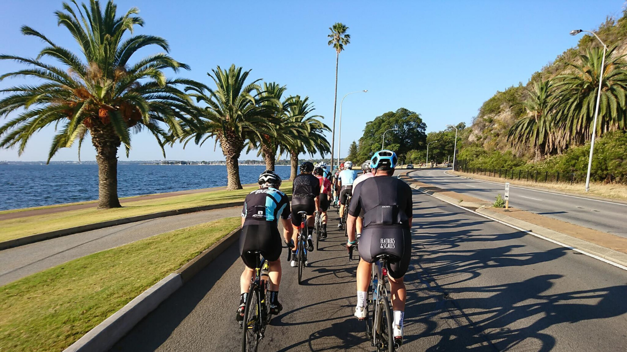 Road Bike Rentals in Perth, Australia | Livelo